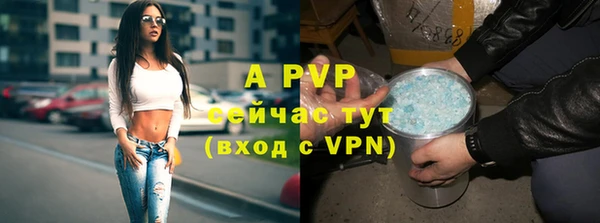 PSILOCYBIN Бугульма