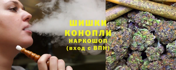 PSILOCYBIN Бугульма