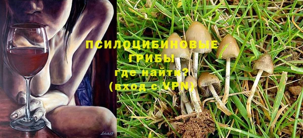 PSILOCYBIN Бугульма