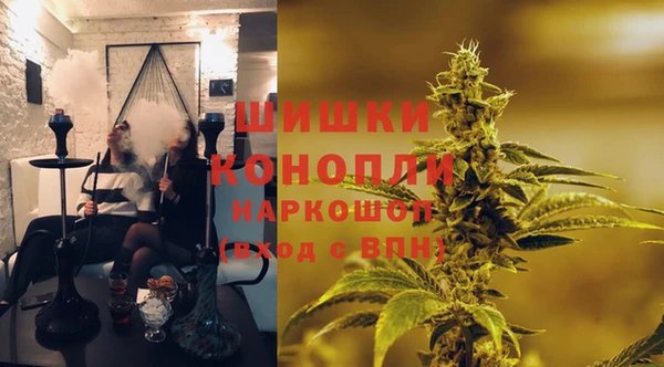 PSILOCYBIN Бугульма