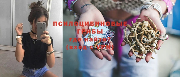 PSILOCYBIN Бугульма