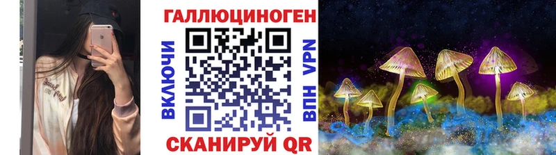 Псилоцибиновые грибы Cubensis  Купить  Барыш 